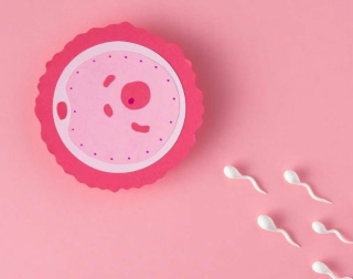 Перспективи використання